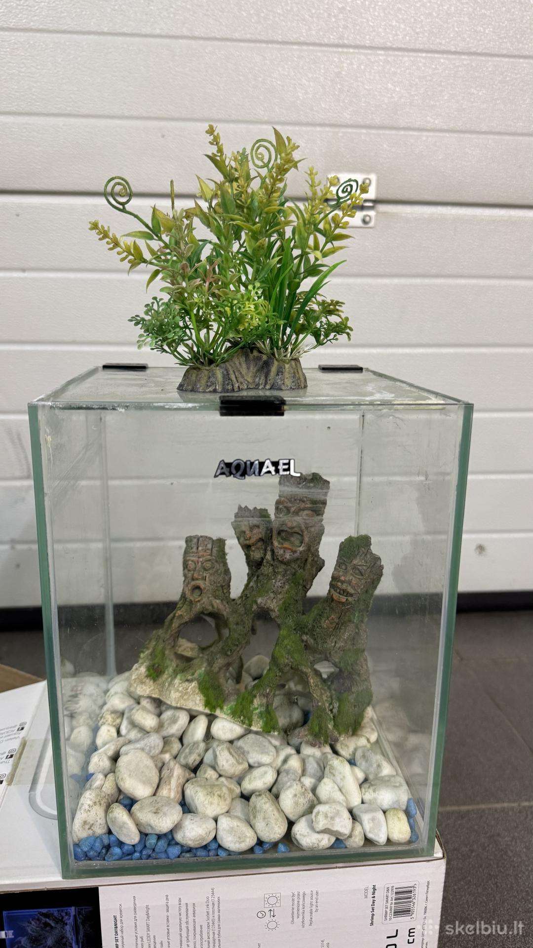 Aquael Shrimp Set 10 l akvariumas