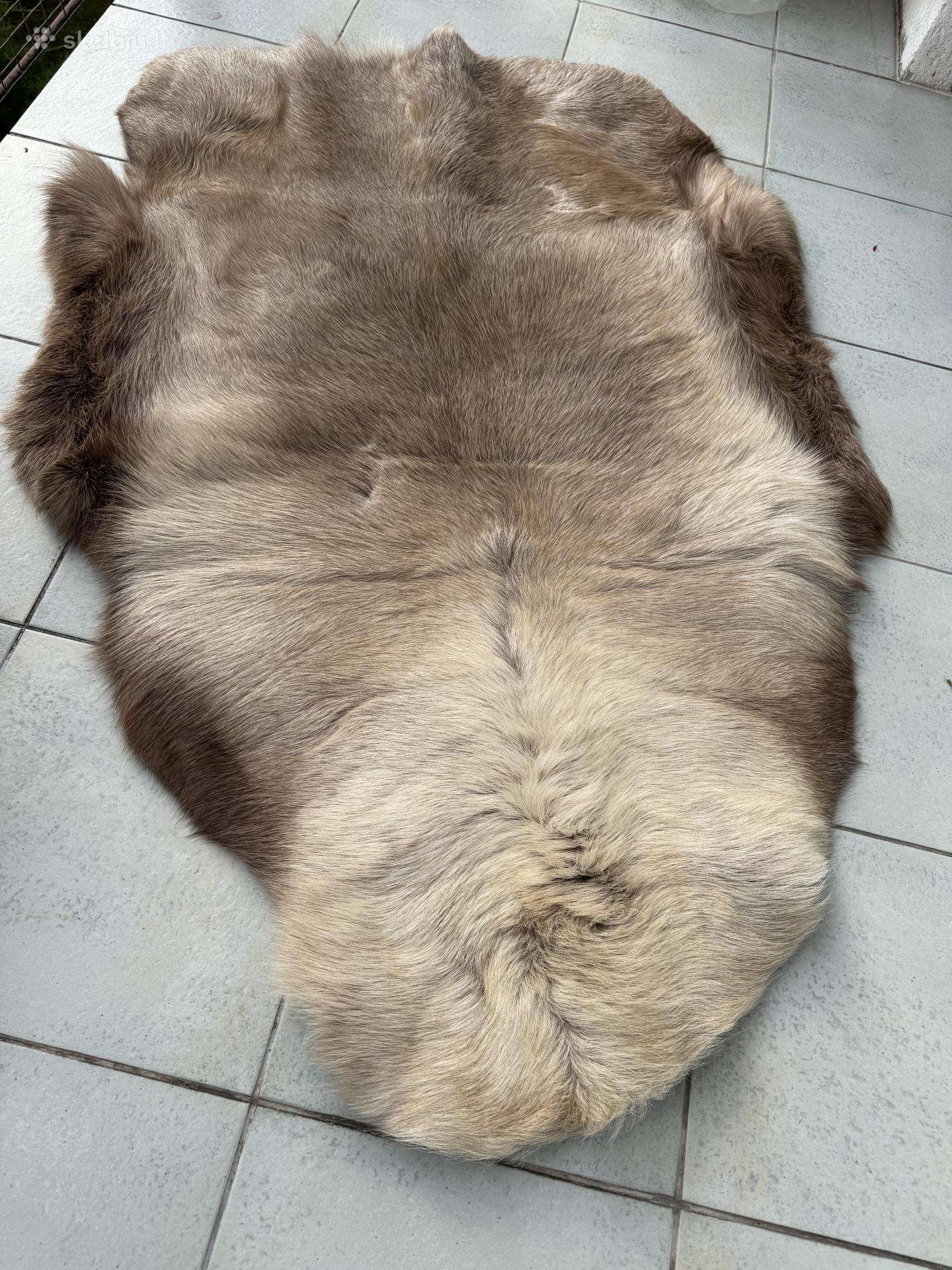 2 Elnio kailiai nemaži kaip kilimai ar kt.