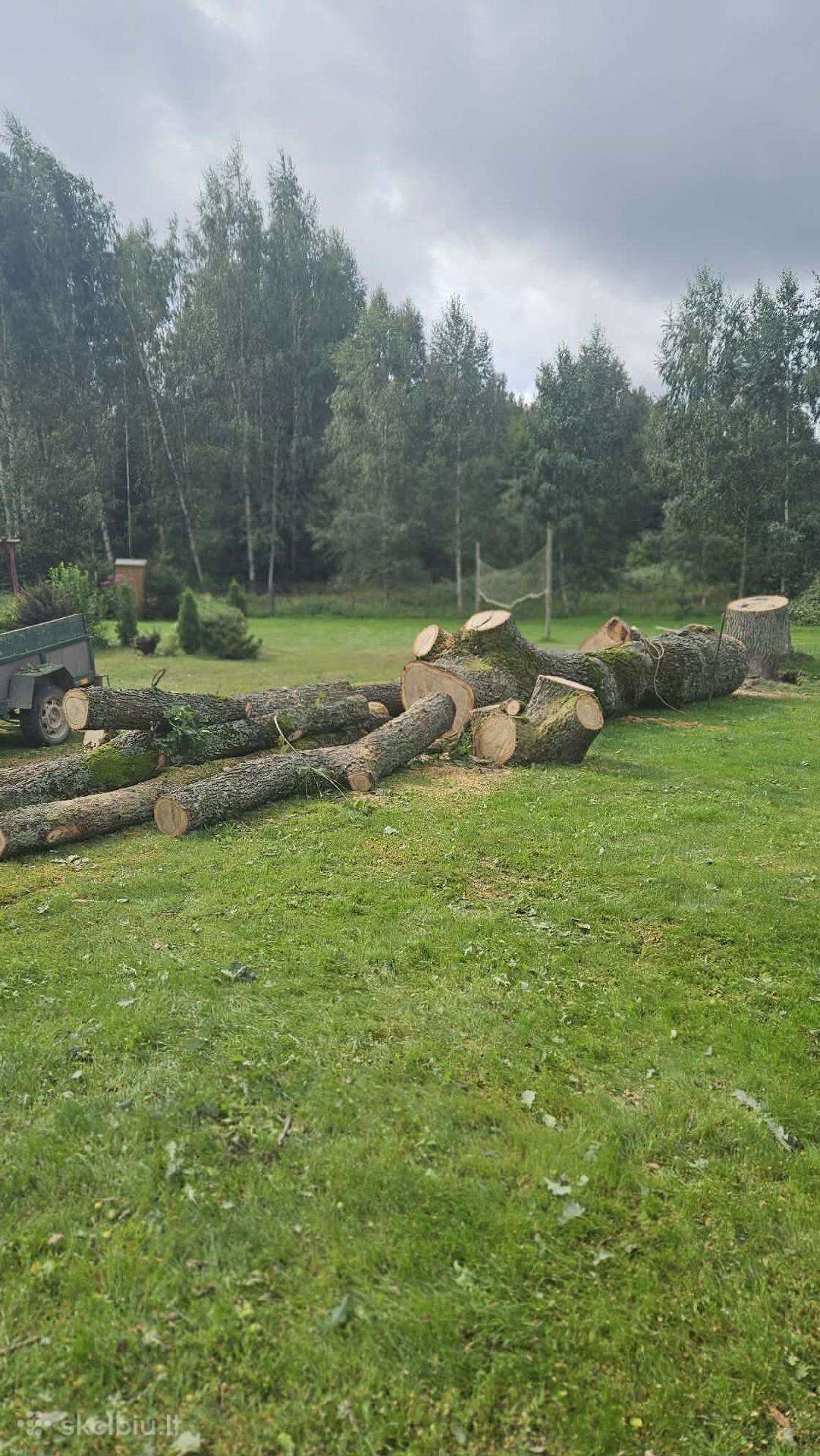 Parduodu ąžuolo rąstus
