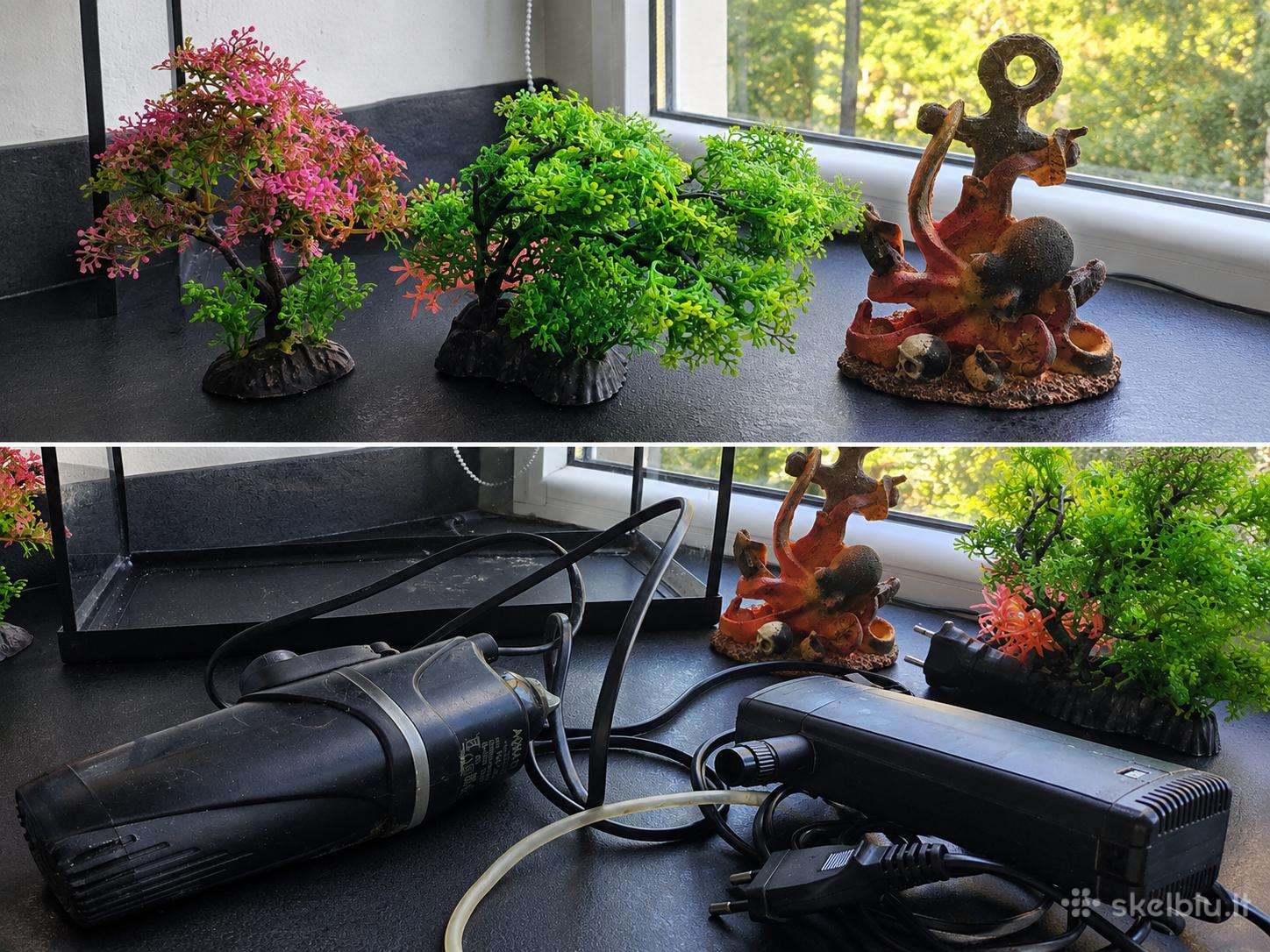 Akvariumas
