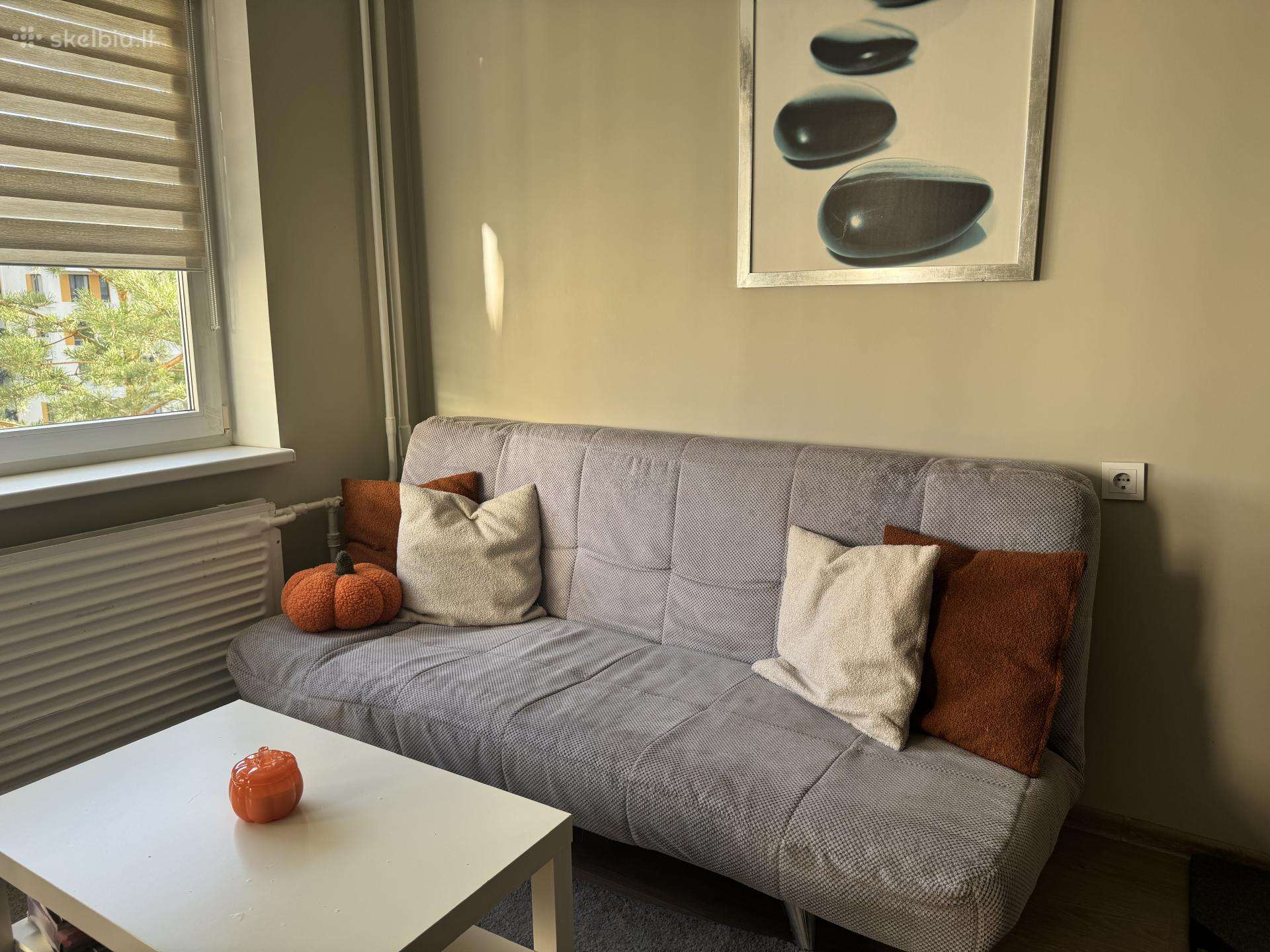 Pilka sofa-lova su nuimamu užvalkalu / Vilnius