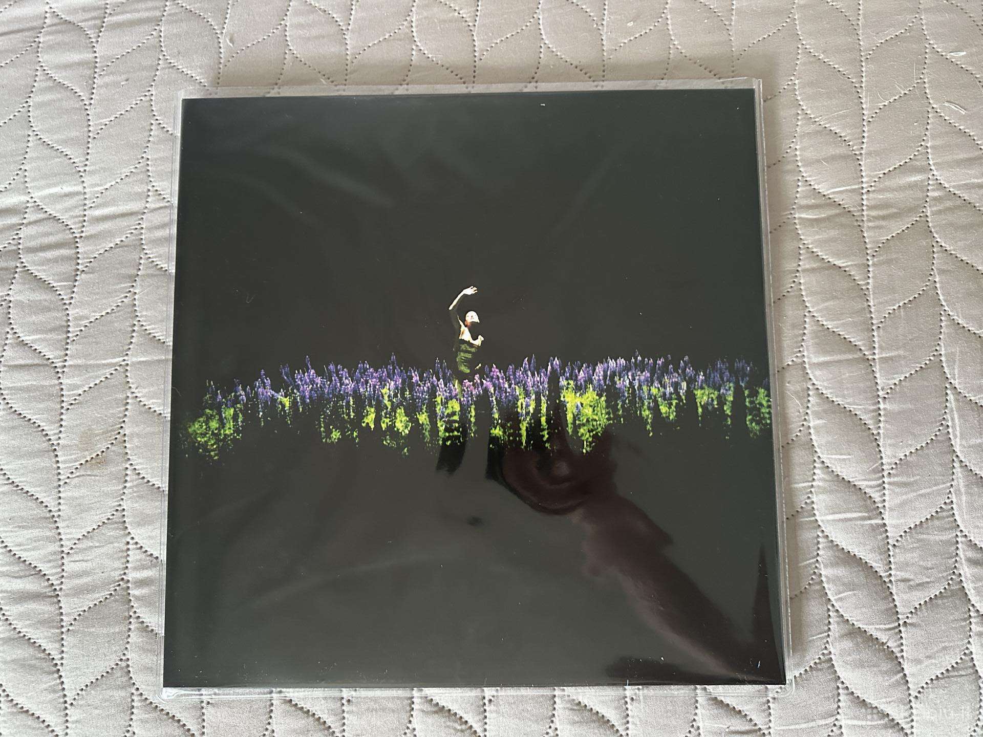 Jessica Shy Liepa Vinilo plokštelė