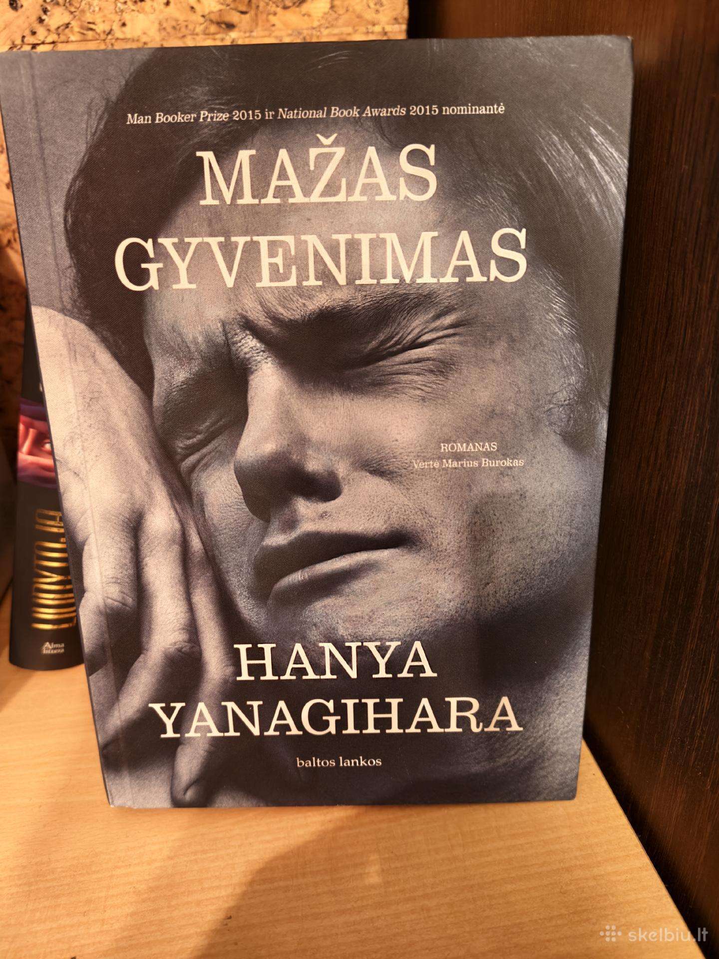 Mažas gyvenimas knyga
