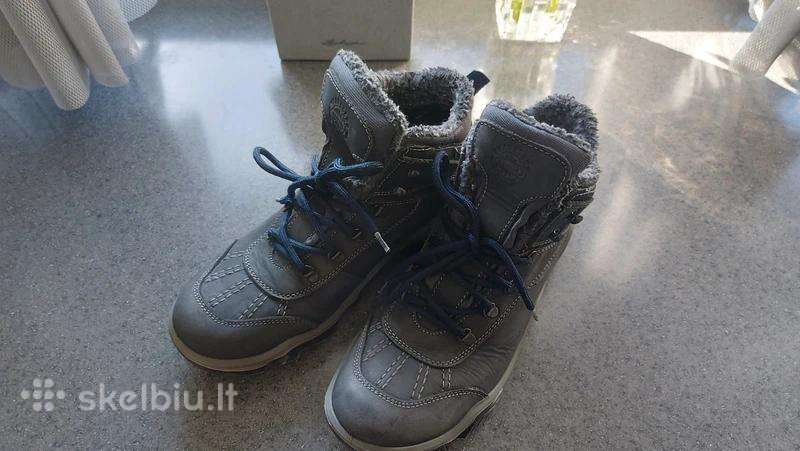 Žieminiai aulinukai