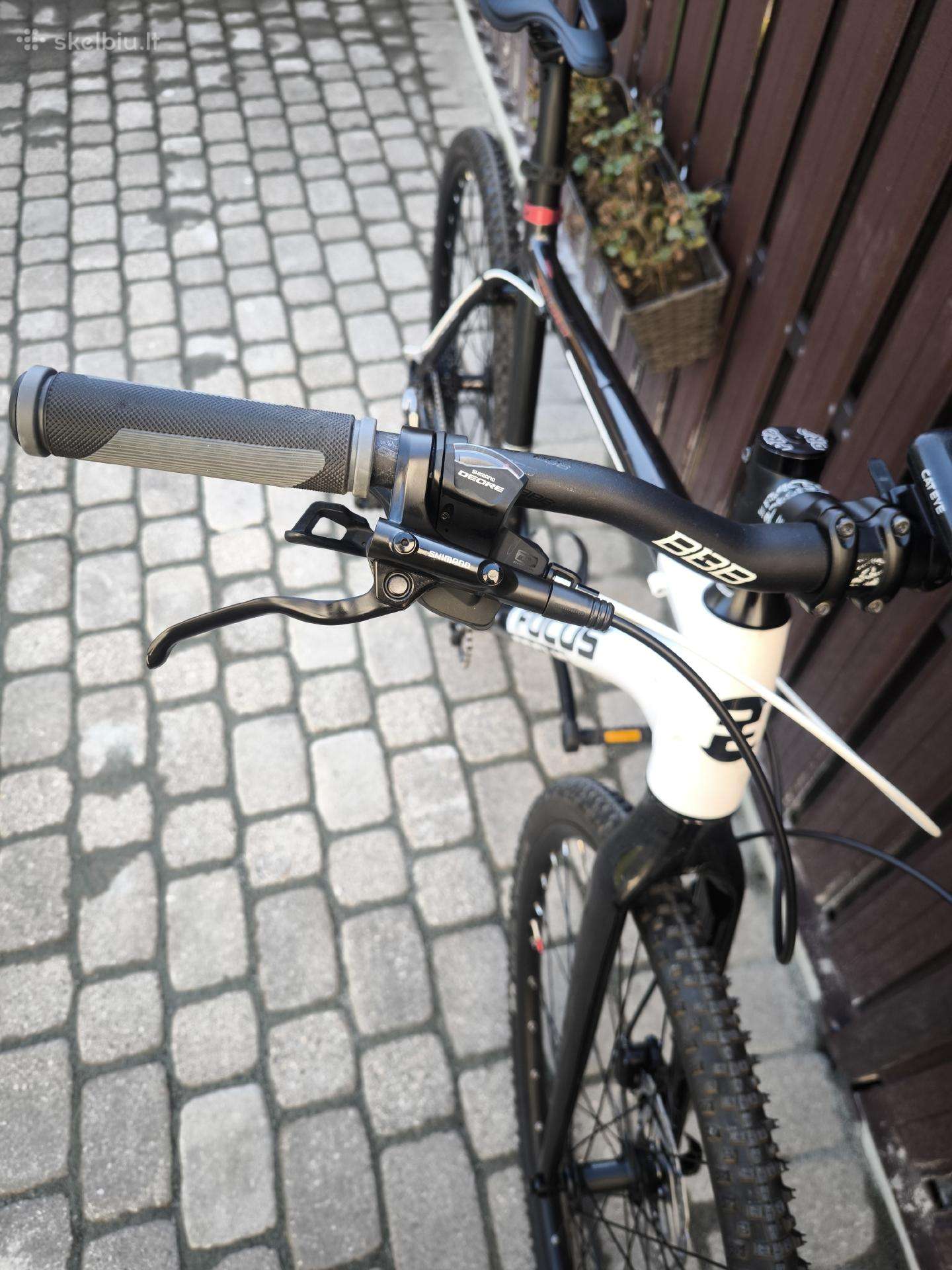Focus 29 - Rigid šakė