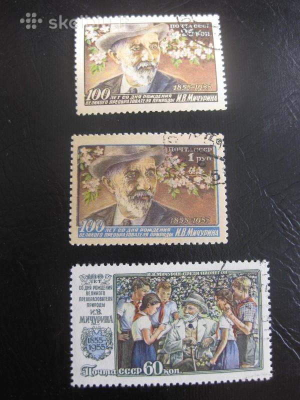 CcCCCP 1956 1836-38 antsp Mičurinas