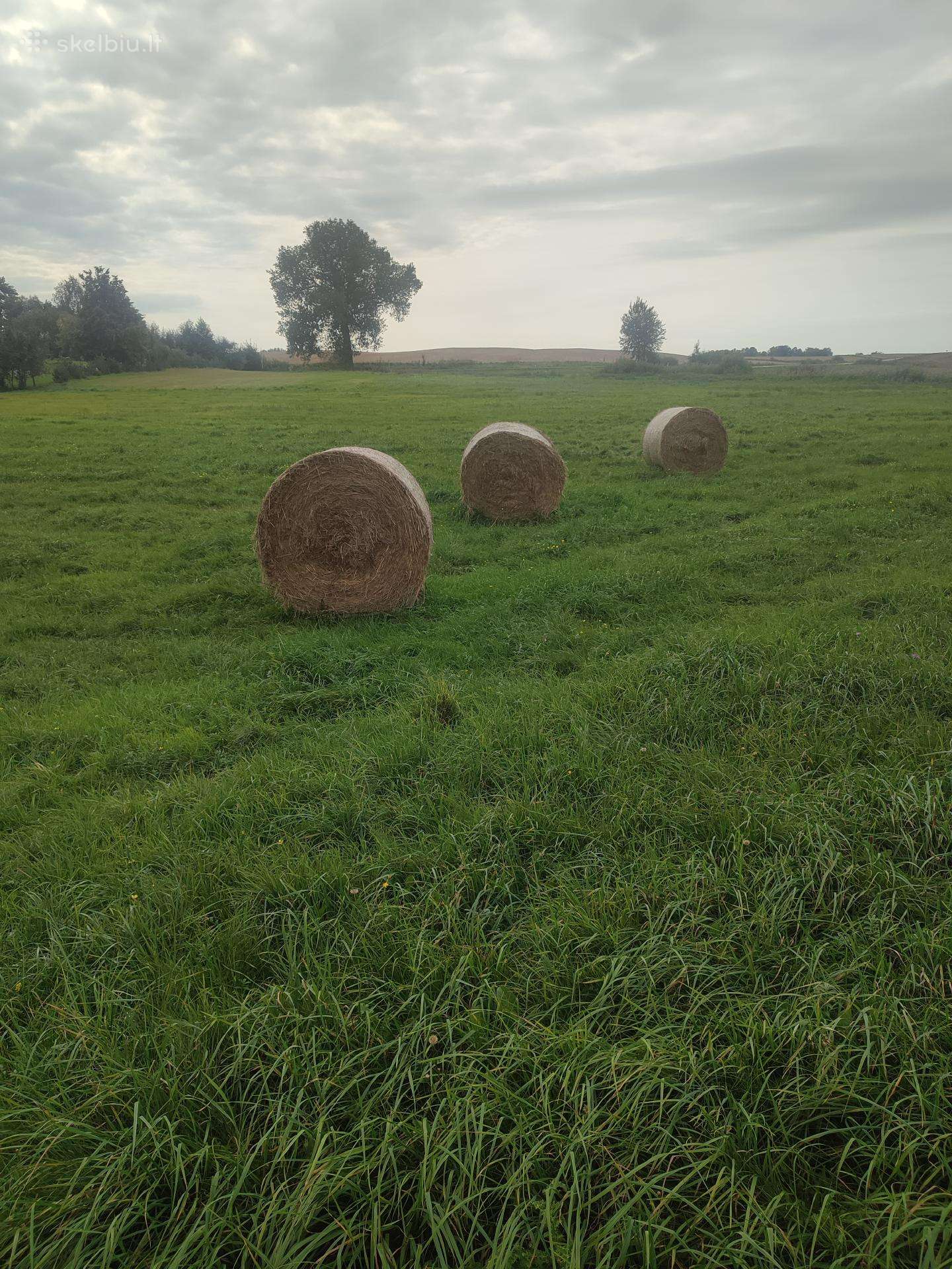 Parduodu 4 šieno rulonus