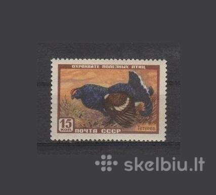 CcCCCP 1957 1924 mlh Wildlife Fauna