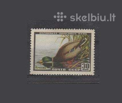 CcCCCP 1957 1926 mlh Wildlife Fauna