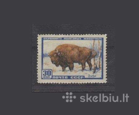 CcCCCP 1957 1927 mlh Wildlife Fauna