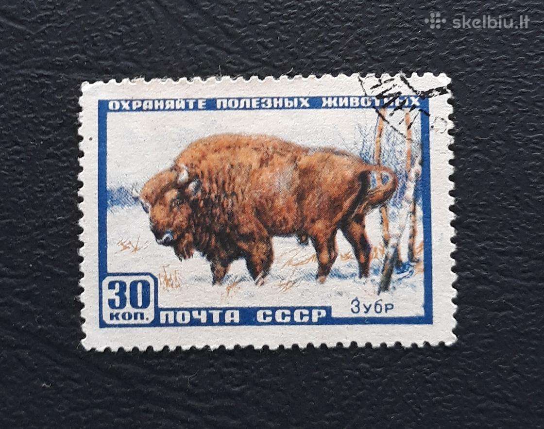 CcCCCP 1957 1927 antsp Wildlife Fauna (1)