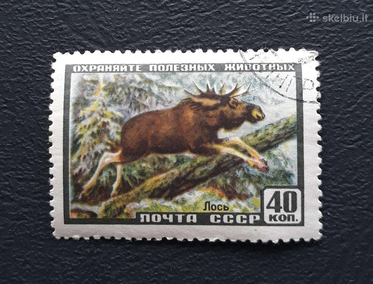 CcCCCP 1957 1929 antsp Wildlife Fauna