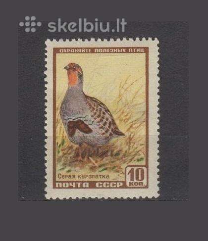 CcCCCP 1957 2027 mlh Wildlife Fauna
