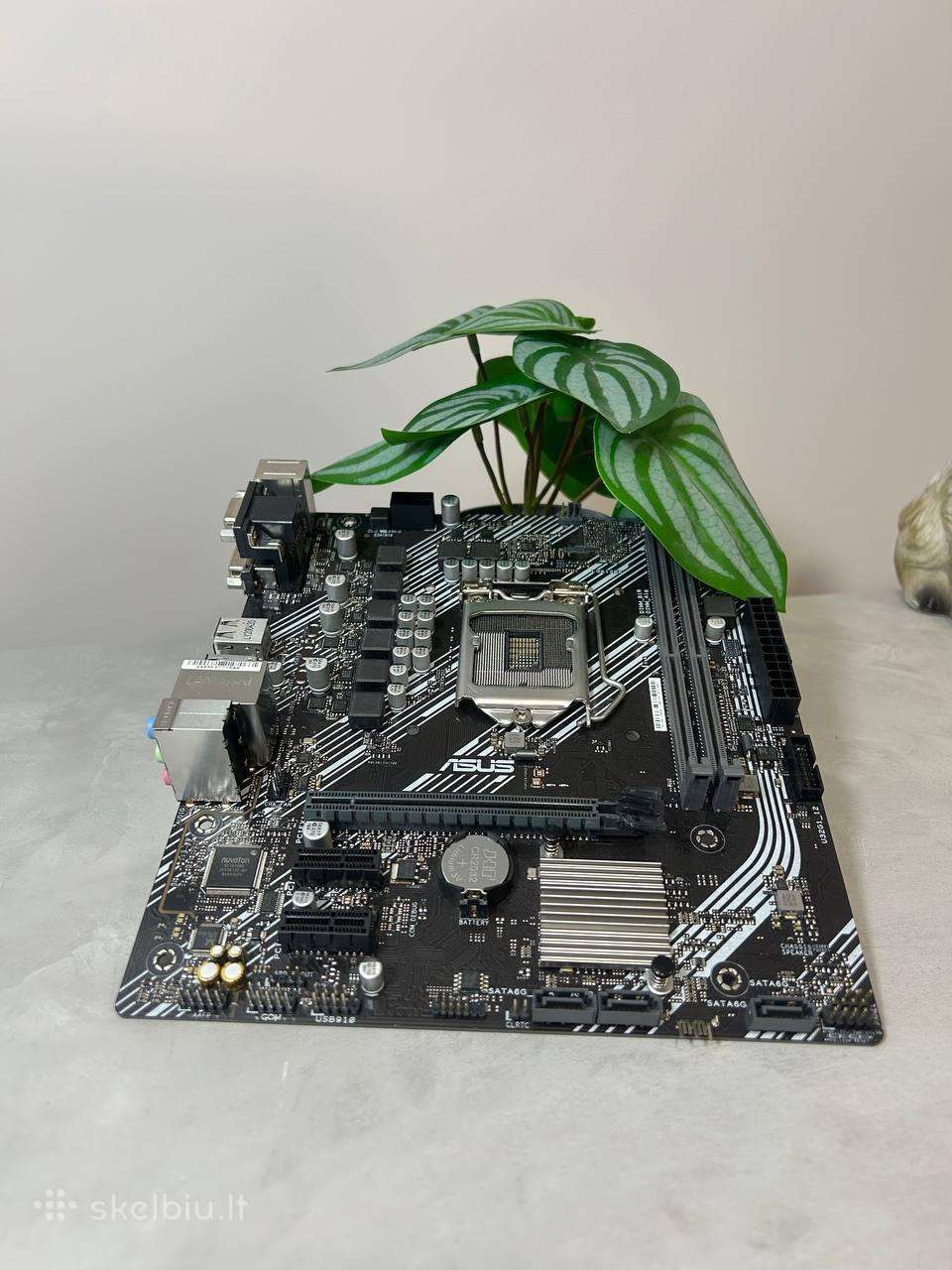 Motininė plokštė Asus Prime h410m-k