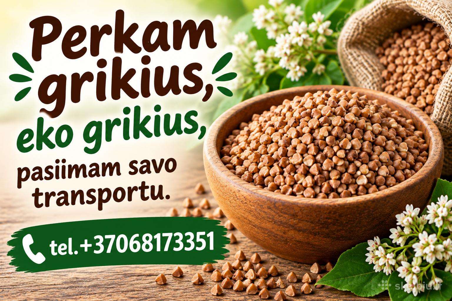 Perkam grikius,eko grikius