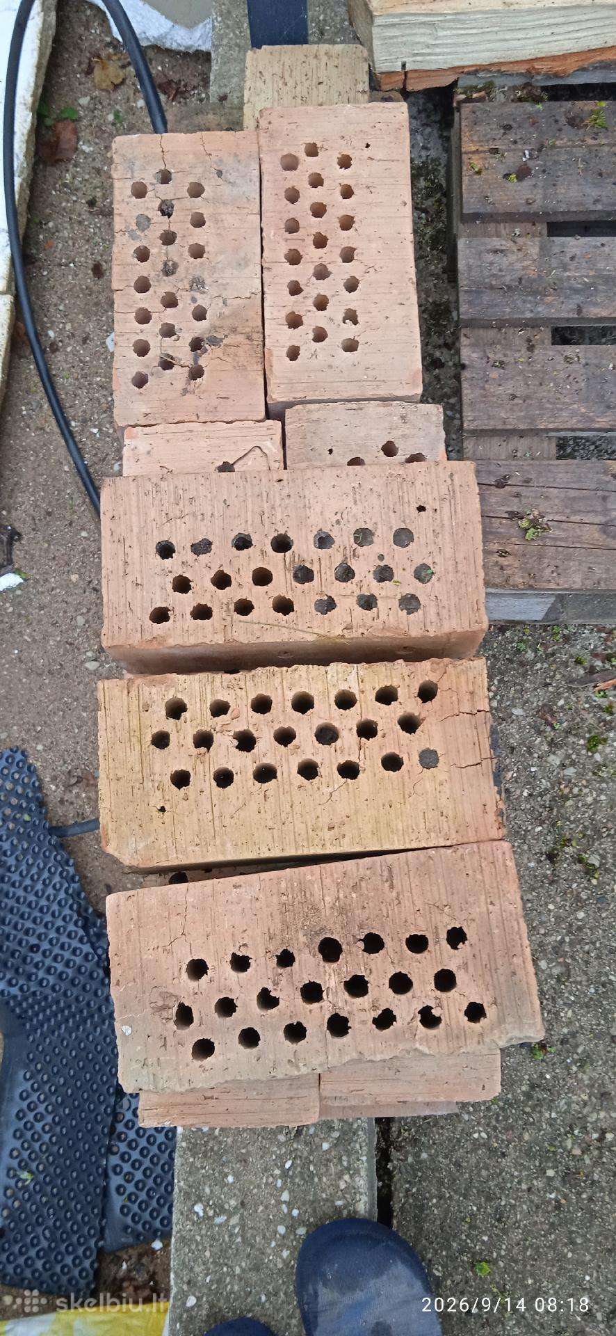 Liko 25 vnt molinės skyletos po 0,0