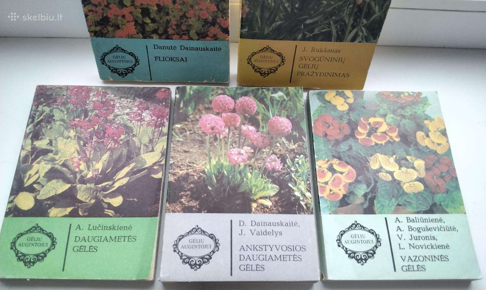 Daugiametės gėlės, Ankstyvosios d, Vazoninės, Flio