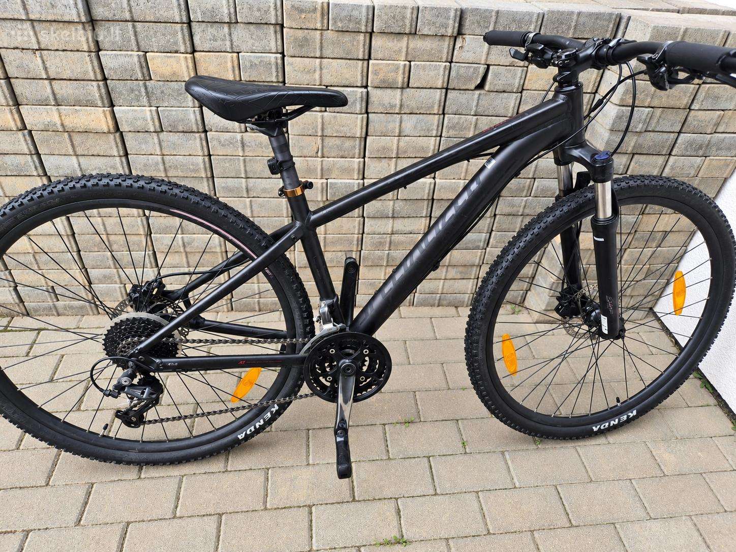 Specialized dviratis paaugliui