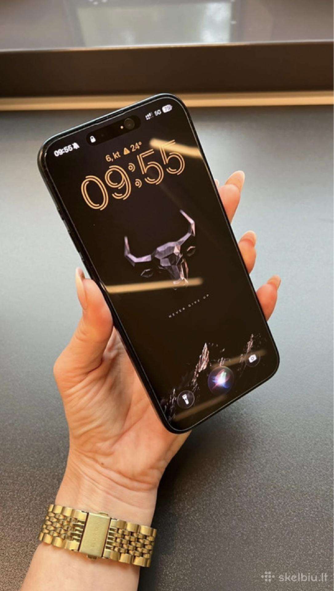 iPhone 15 Pro Max (256 GB)