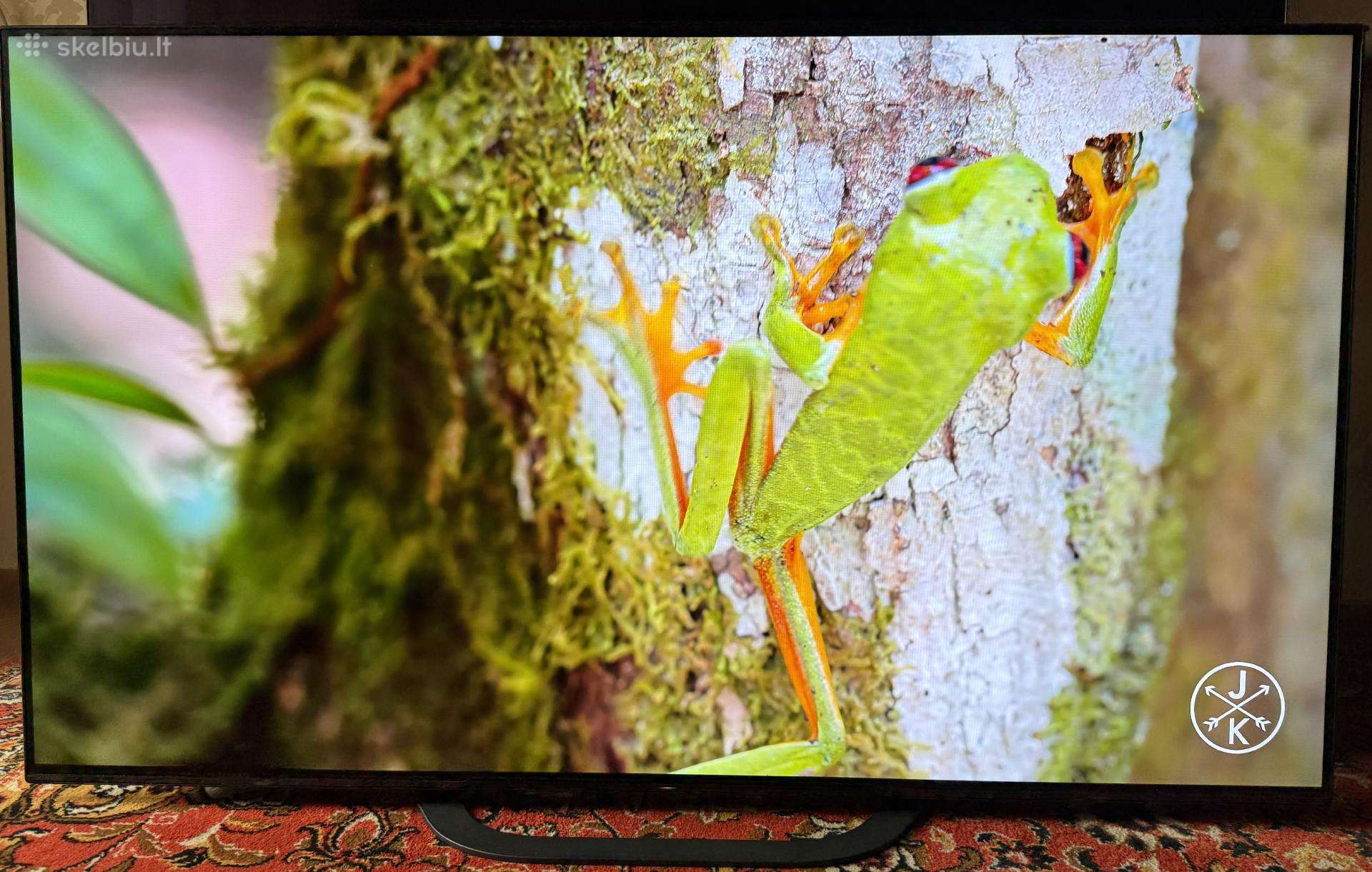 Sony Kd55ag8 Oled televizorius