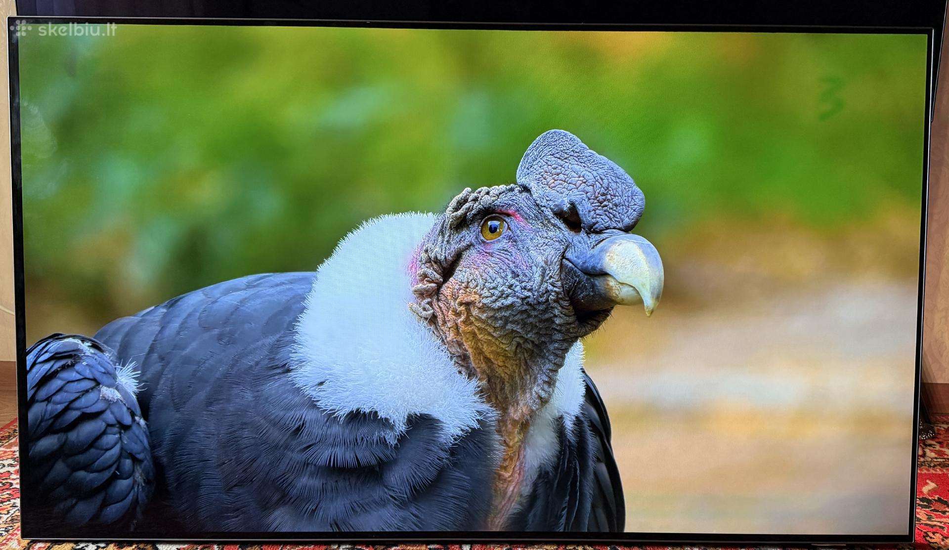 Philips 55oled805/12 naudotas televizorius