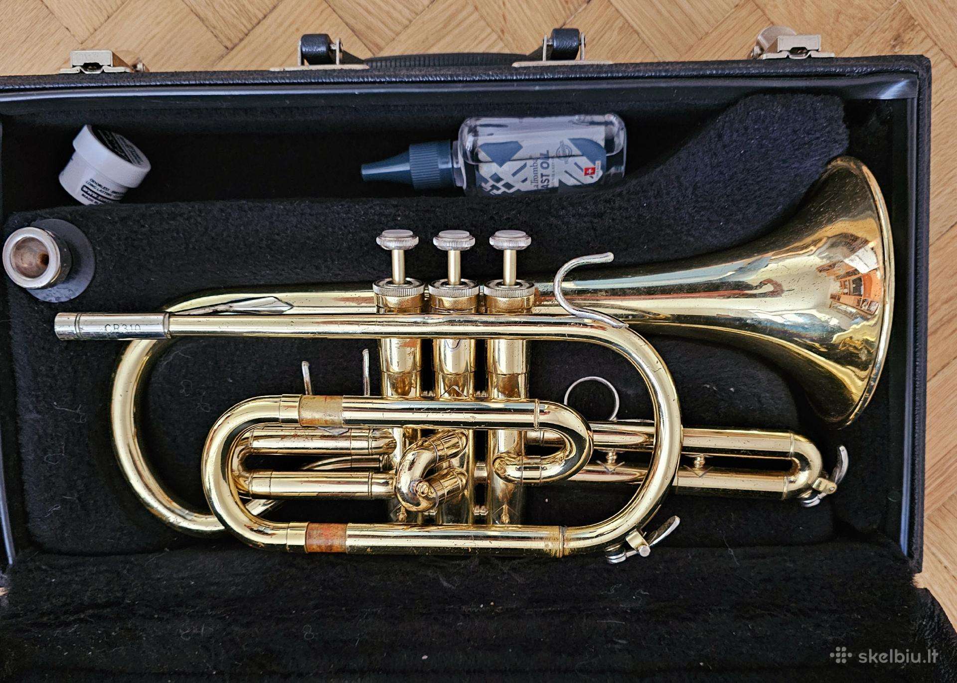 Bach kornetas
