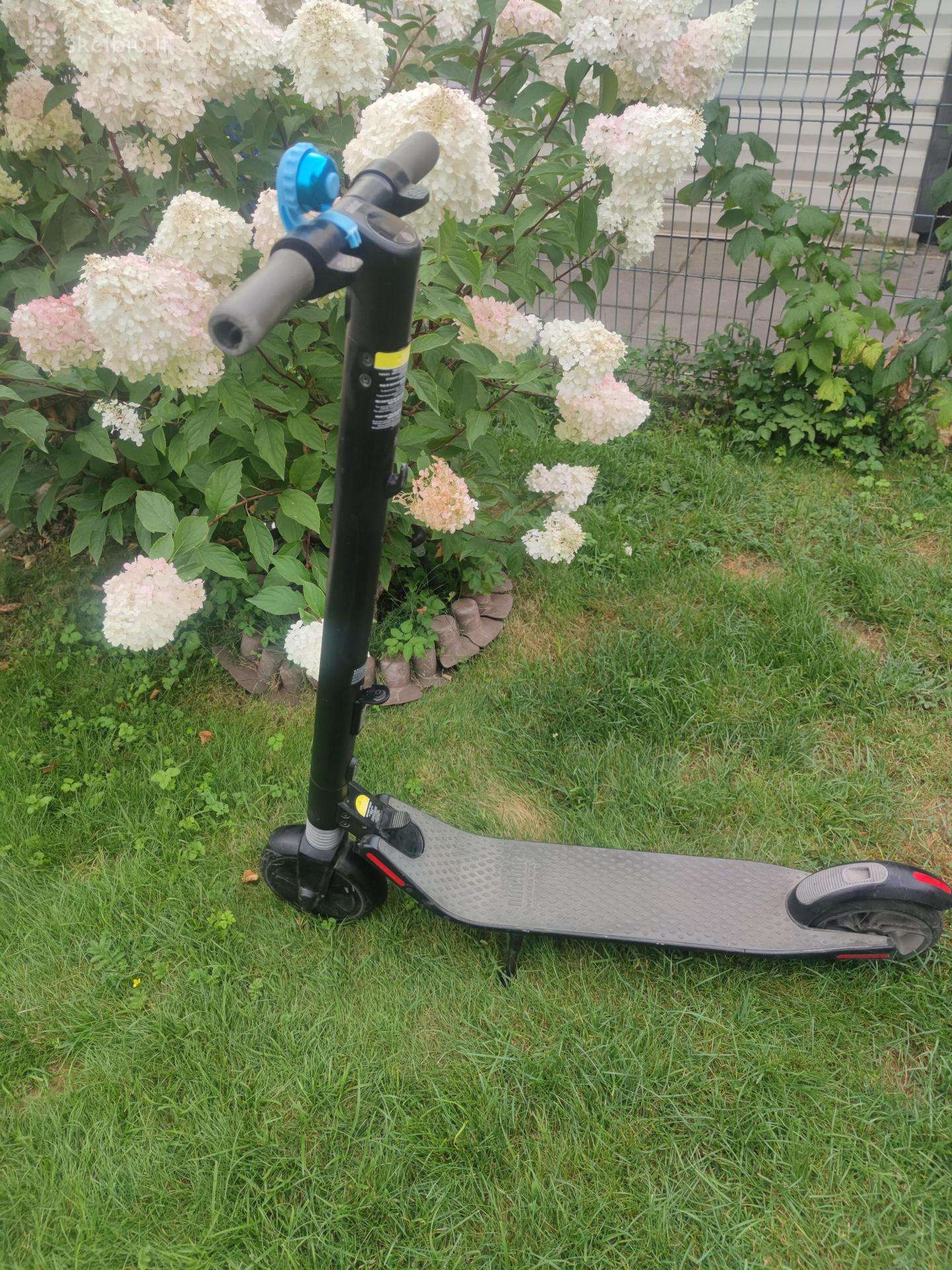 Electric scooter NINEBOT
