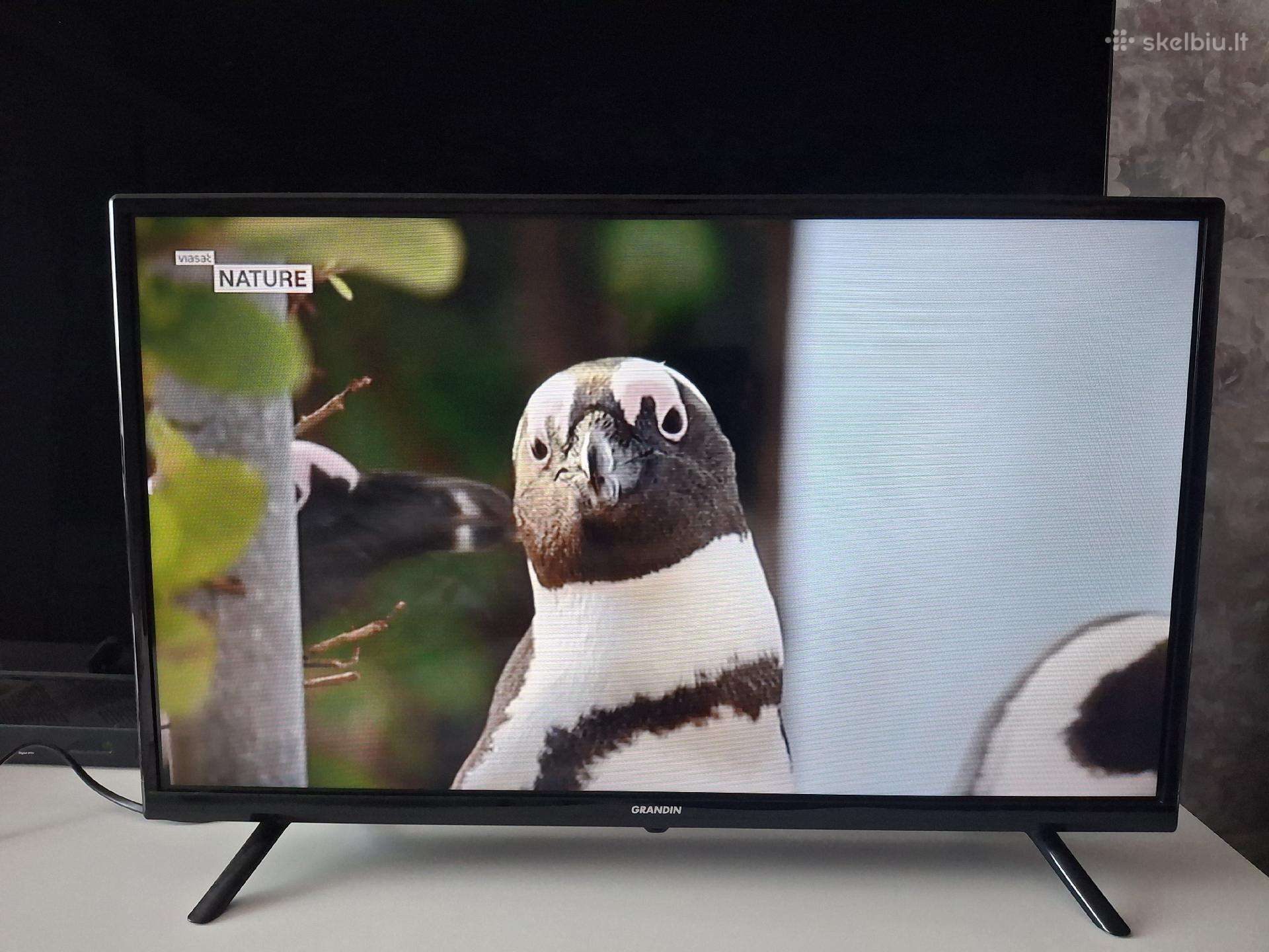 LCD TV Grandin