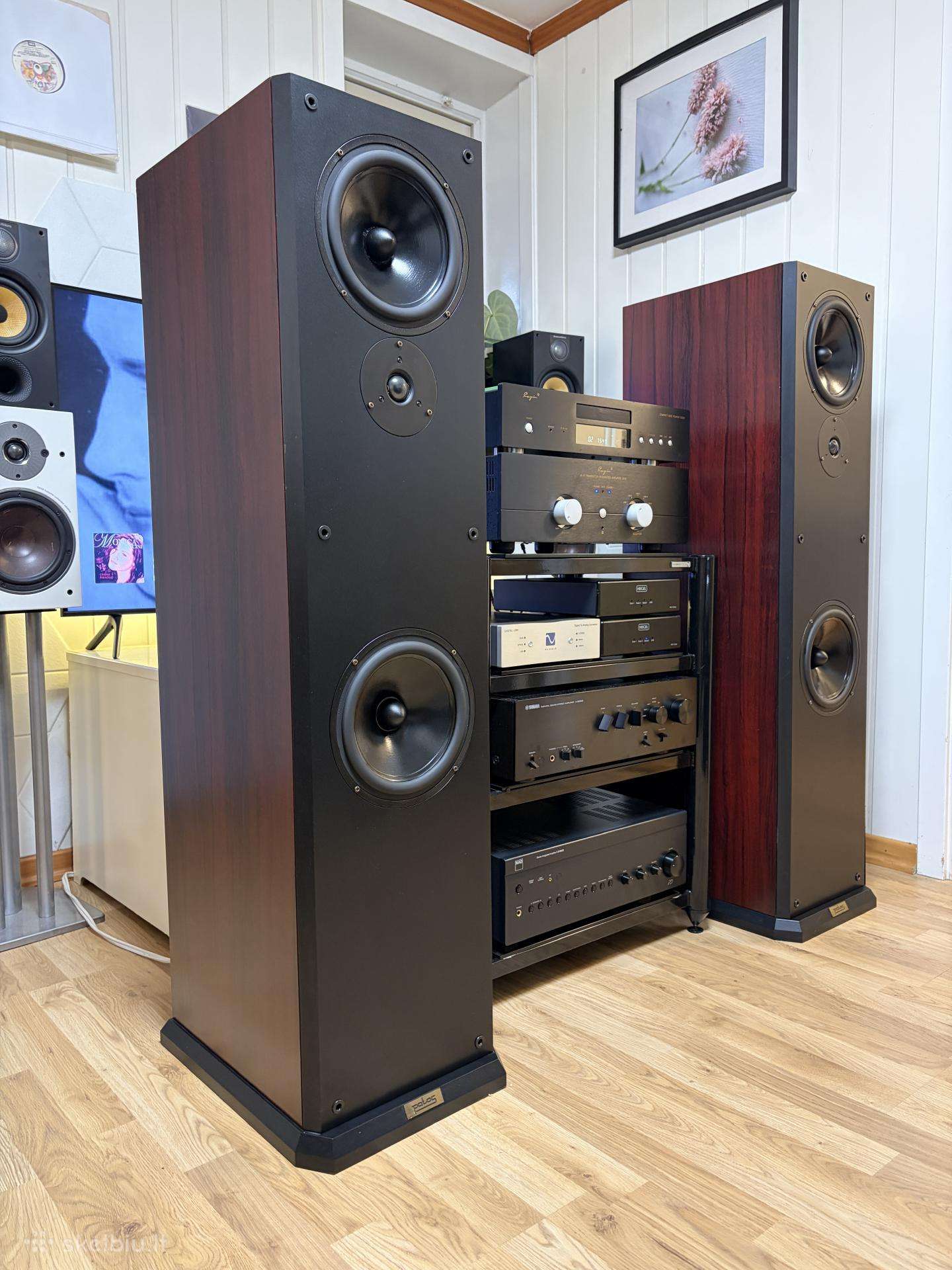 Moen Audio Lyric 501 (Made in Norway)