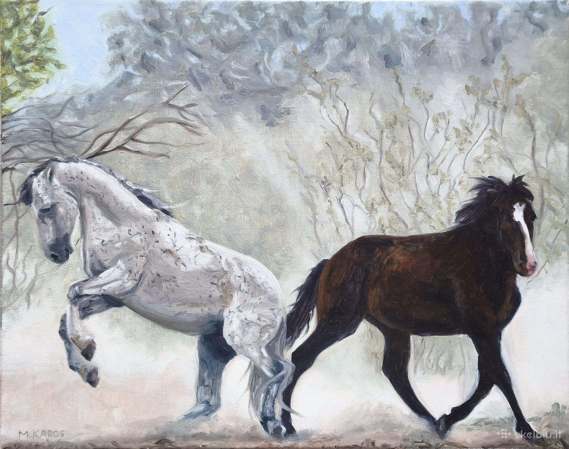 Paveikslas 40x50 cm aliejinė tapyba originalas