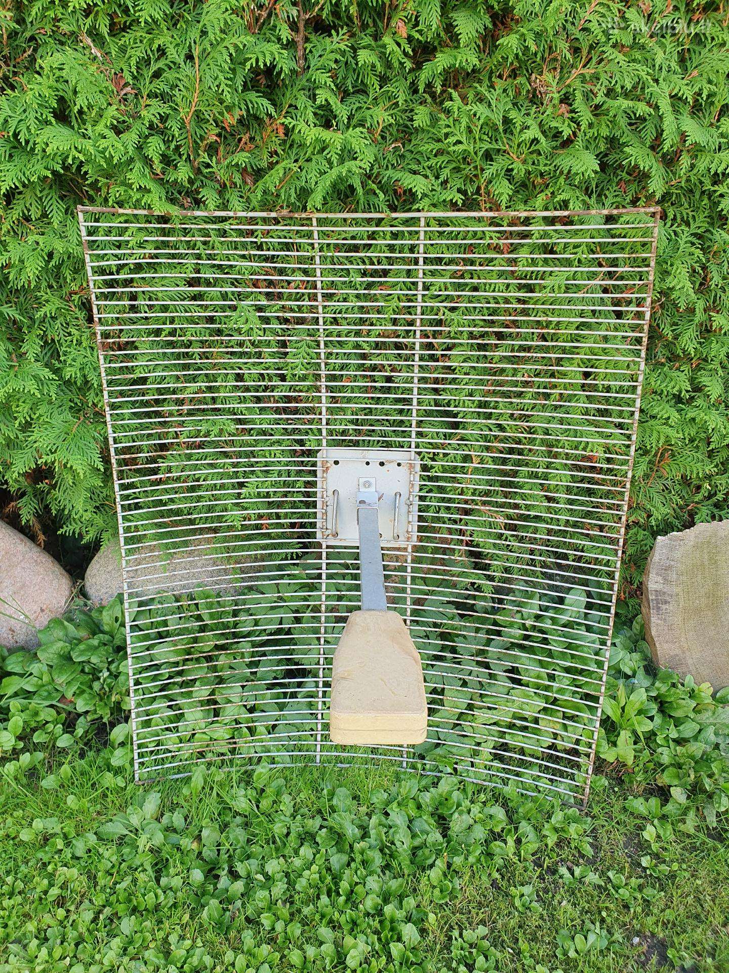 Internetinė antena