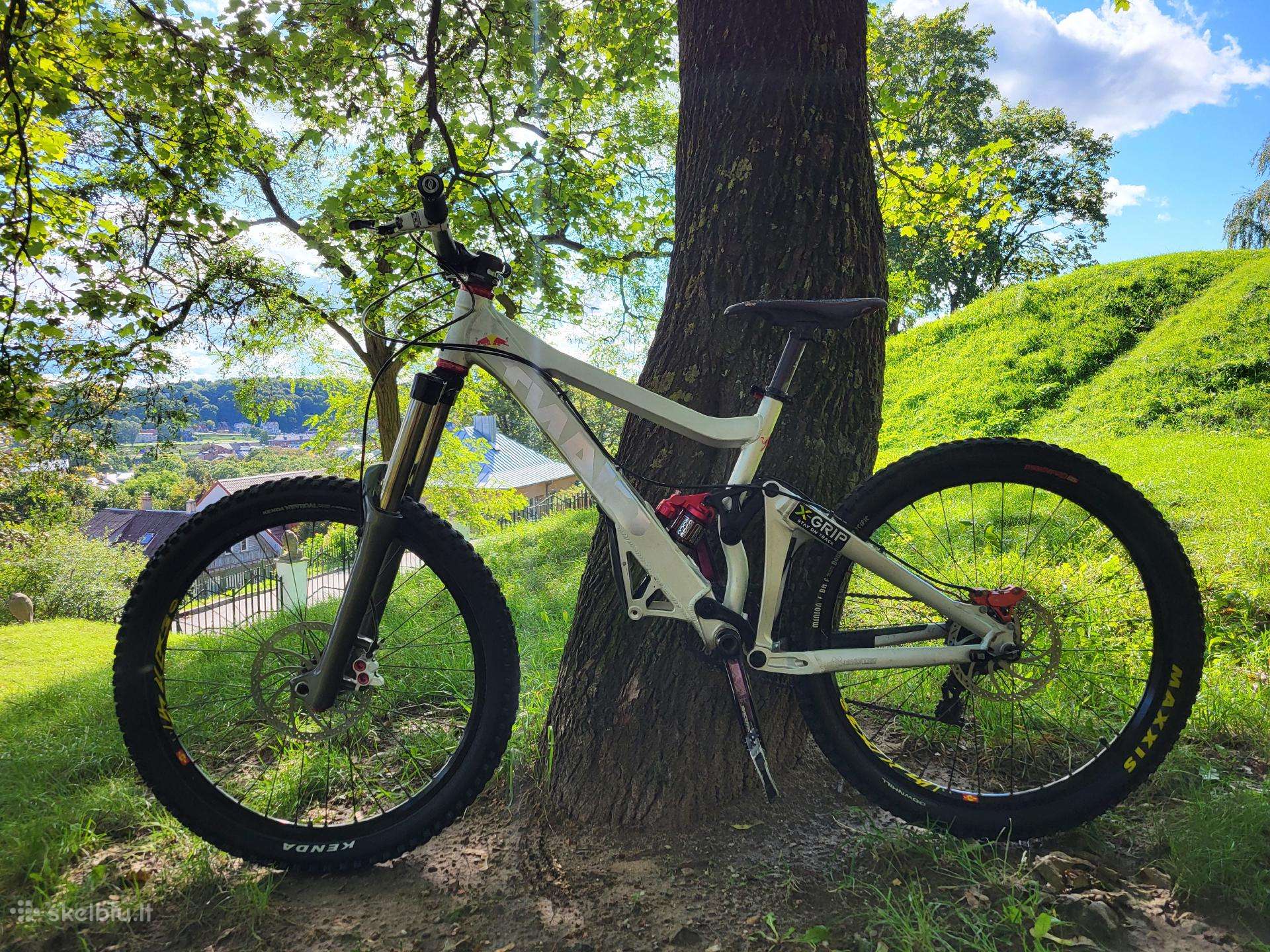 Giant Maestro Downhill Dviratis