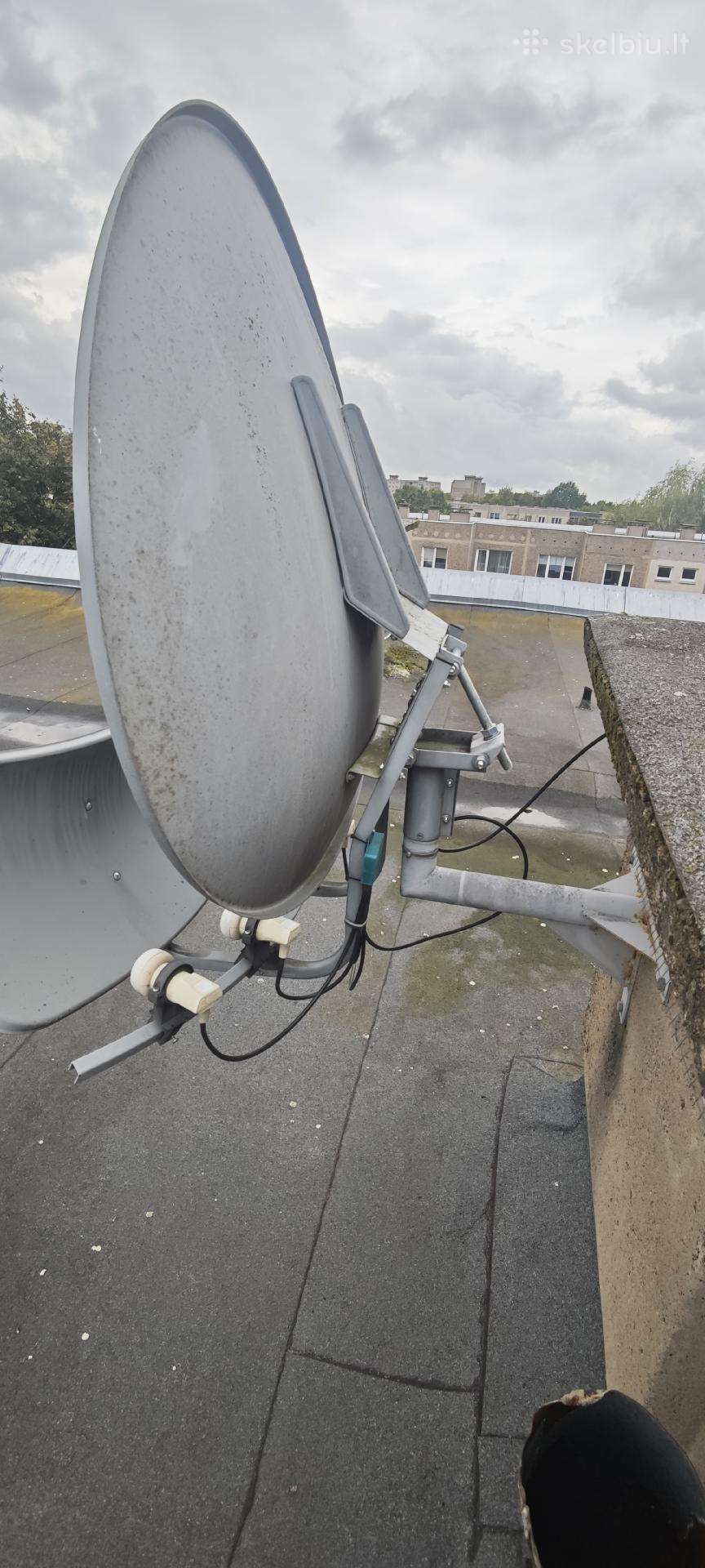 Palidovinė antena