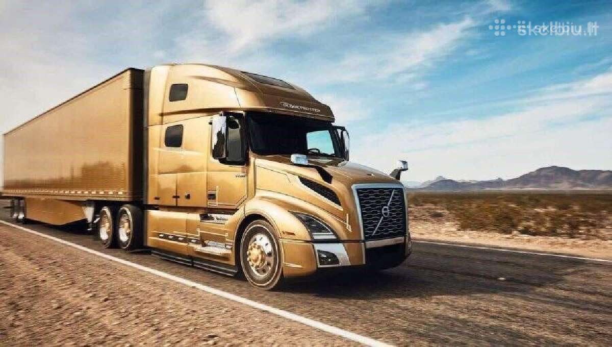 Transporto vadybininkas