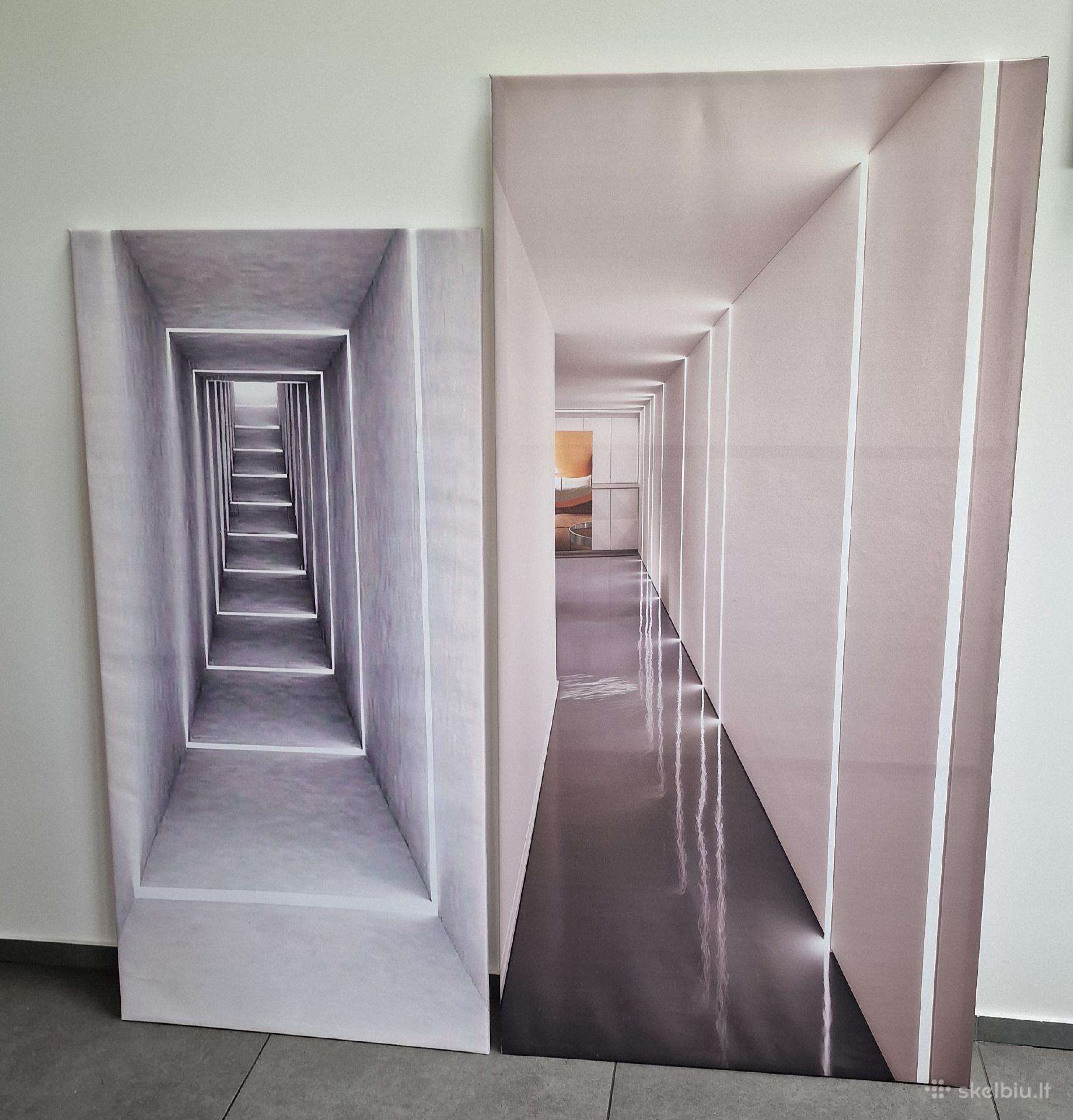 Modernūs, dideli 3D paveikslai ant porėmio 2 vnt.