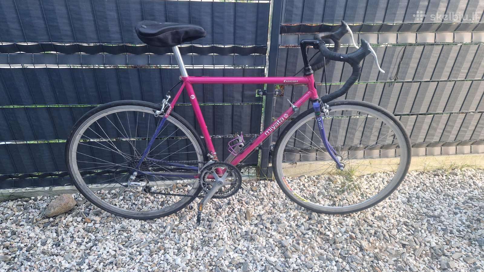 Kogo Miyata Exerciser