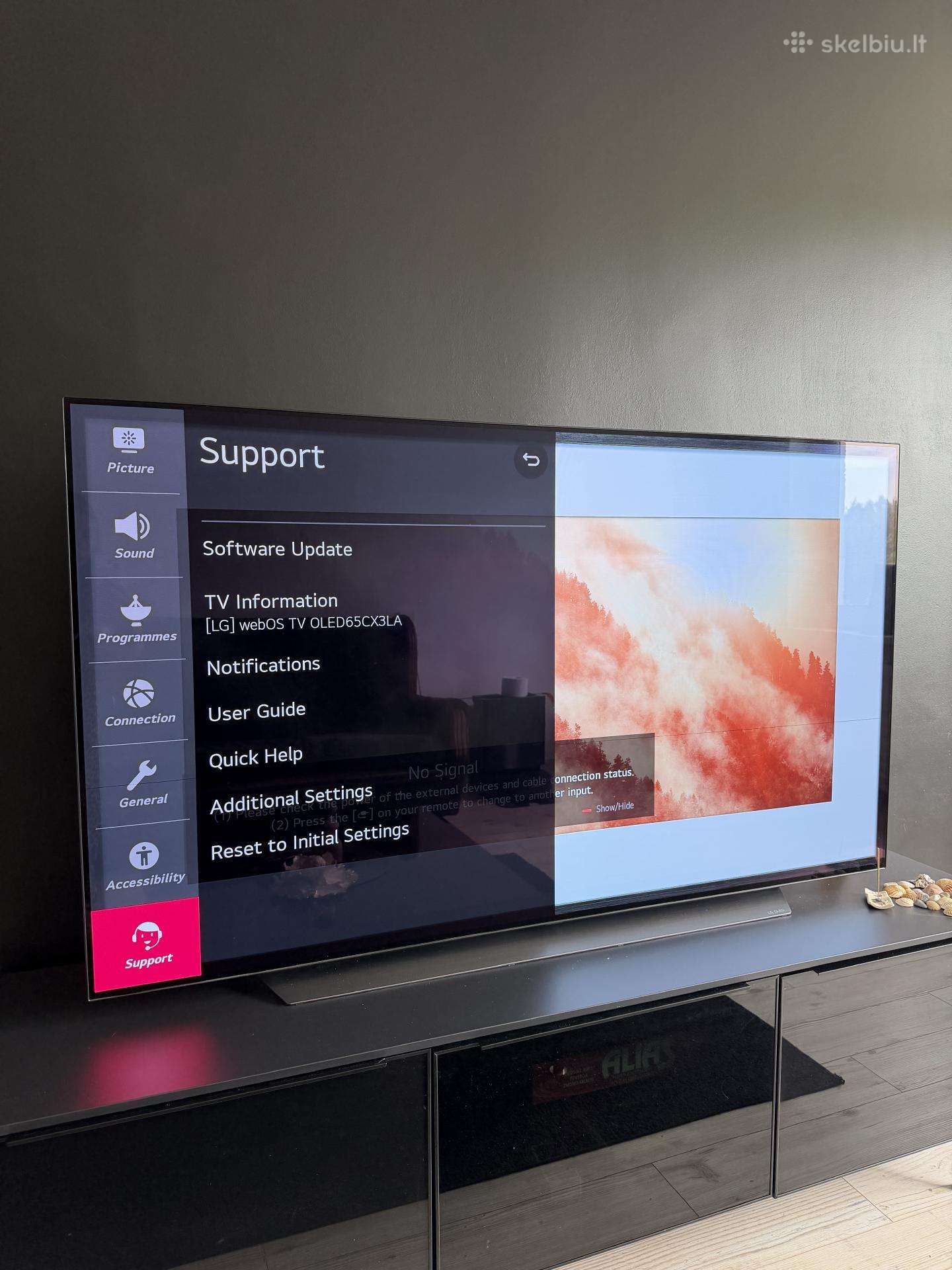 LG Oled65cx3la 65 Oled TV – su defektais