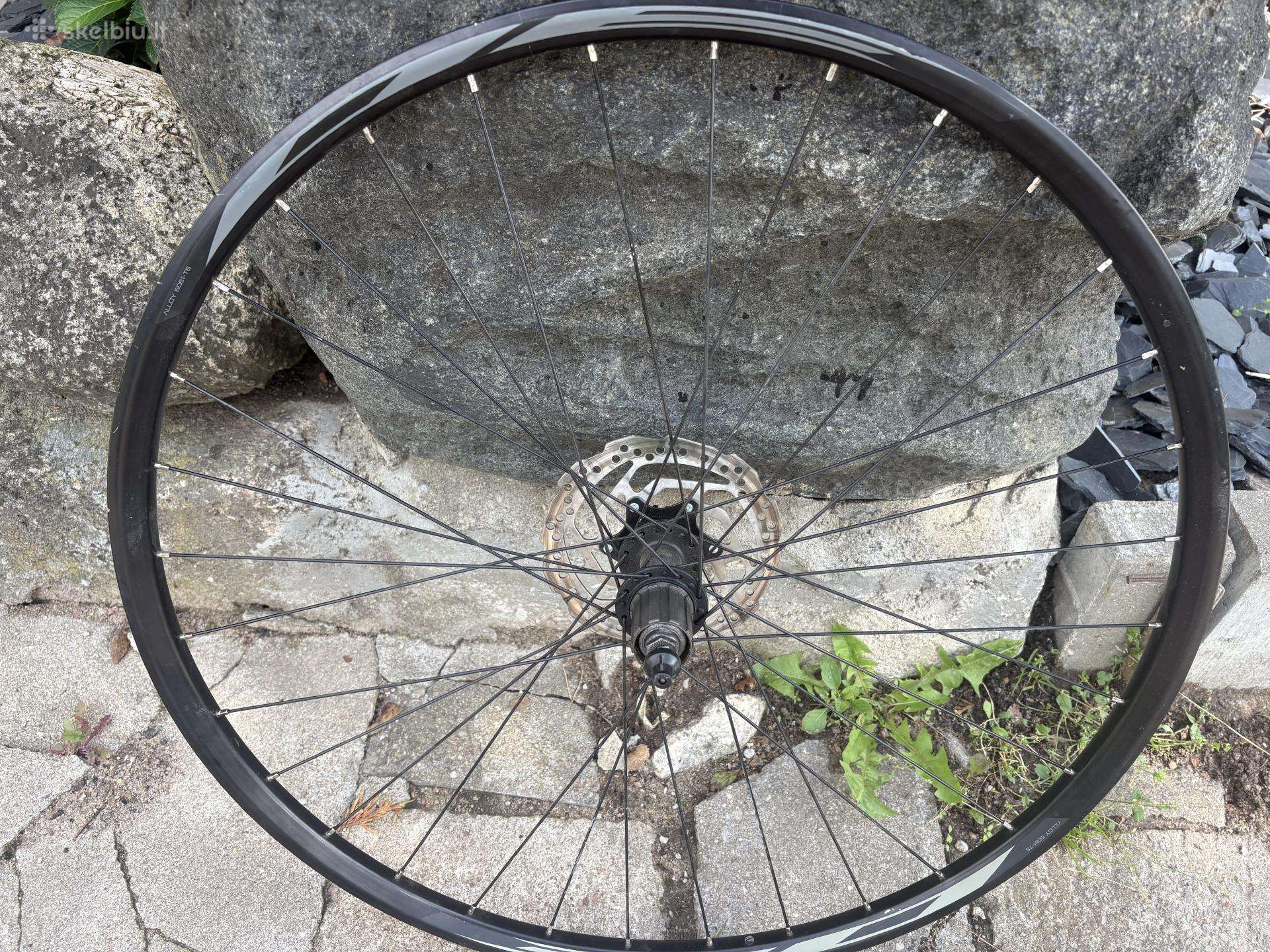 Apynaujis MTB 29 dviracio ratas