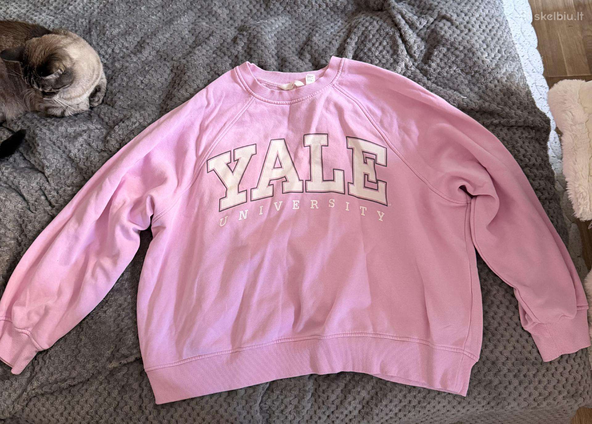 Džemperis su „Yale University“ užrašu