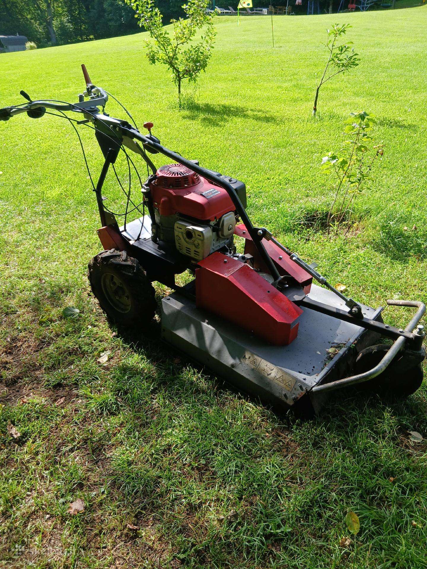 Aukstos zoles ir bruzgynu mulceris Limpar Hg 65