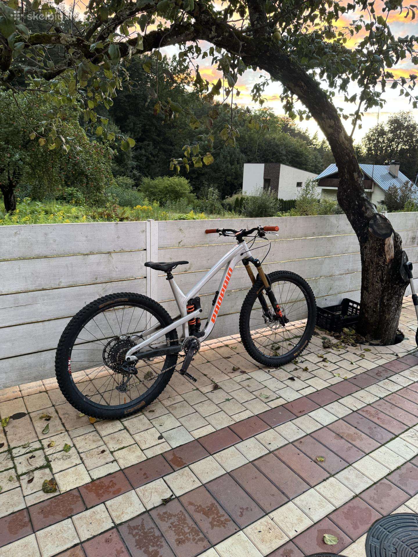 Mountain bike PROPAIN 29″