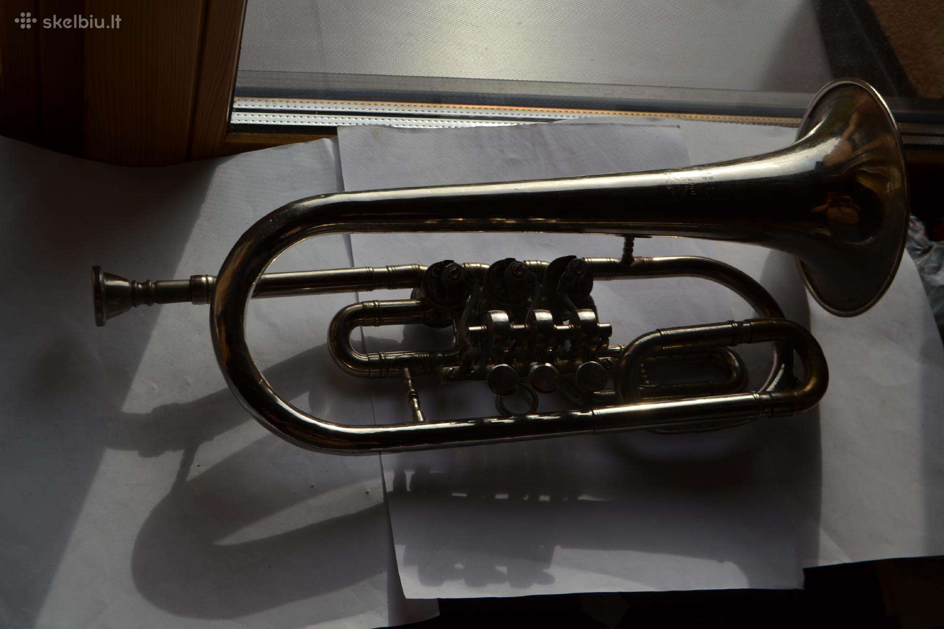 Leningrado gam.triuba