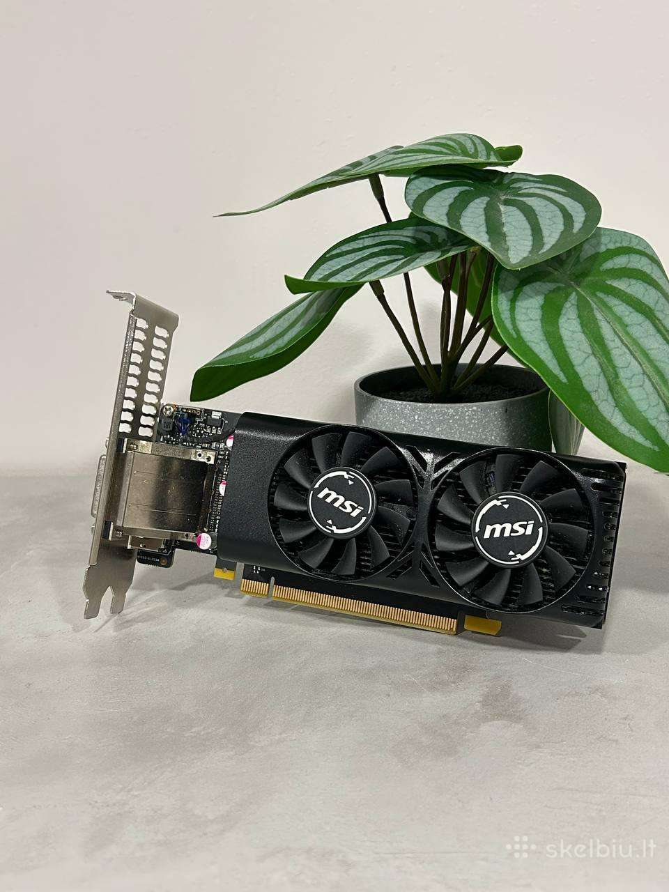 Vaizdo plokštė Msi 1050 Ti 4gb Lp (Low Profile)