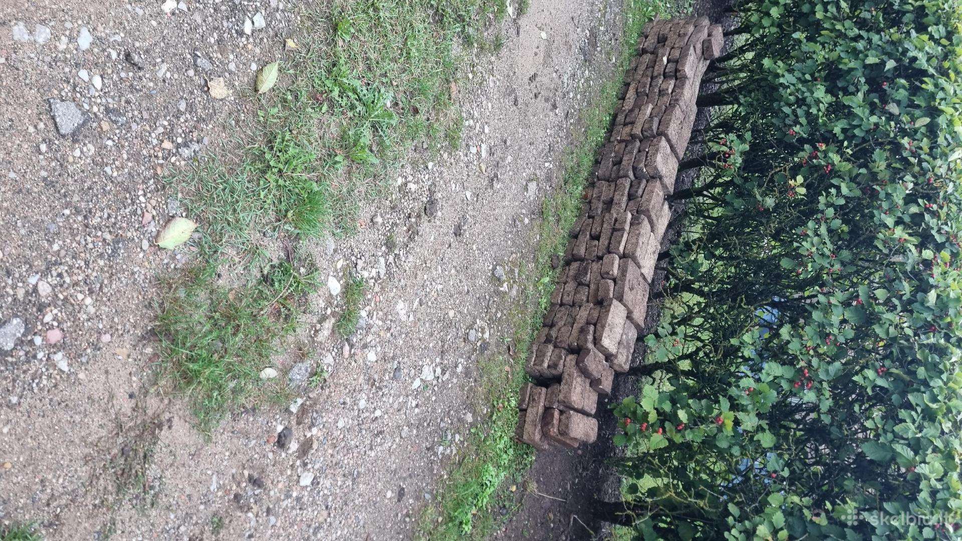 Atiduodu