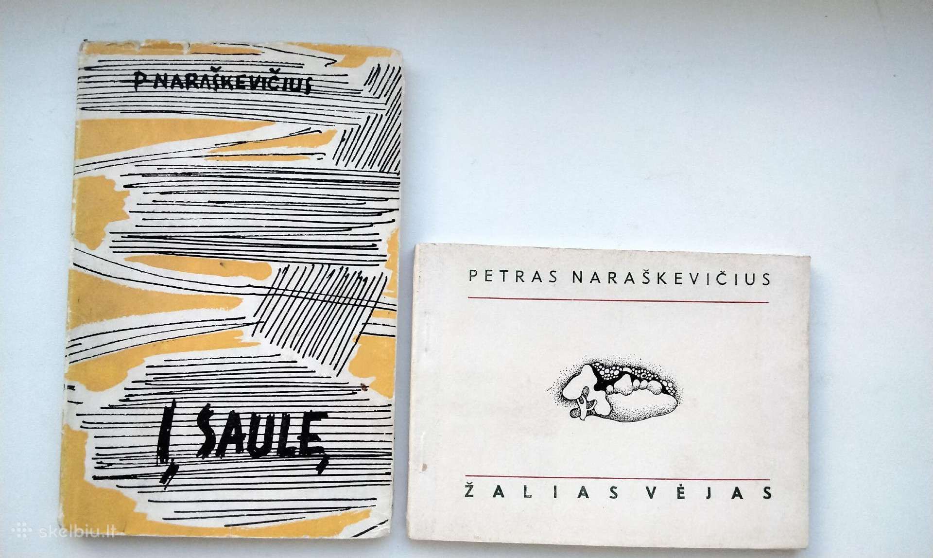 P. Naraškevičius. Į saulę(1959). Žalias vėjas