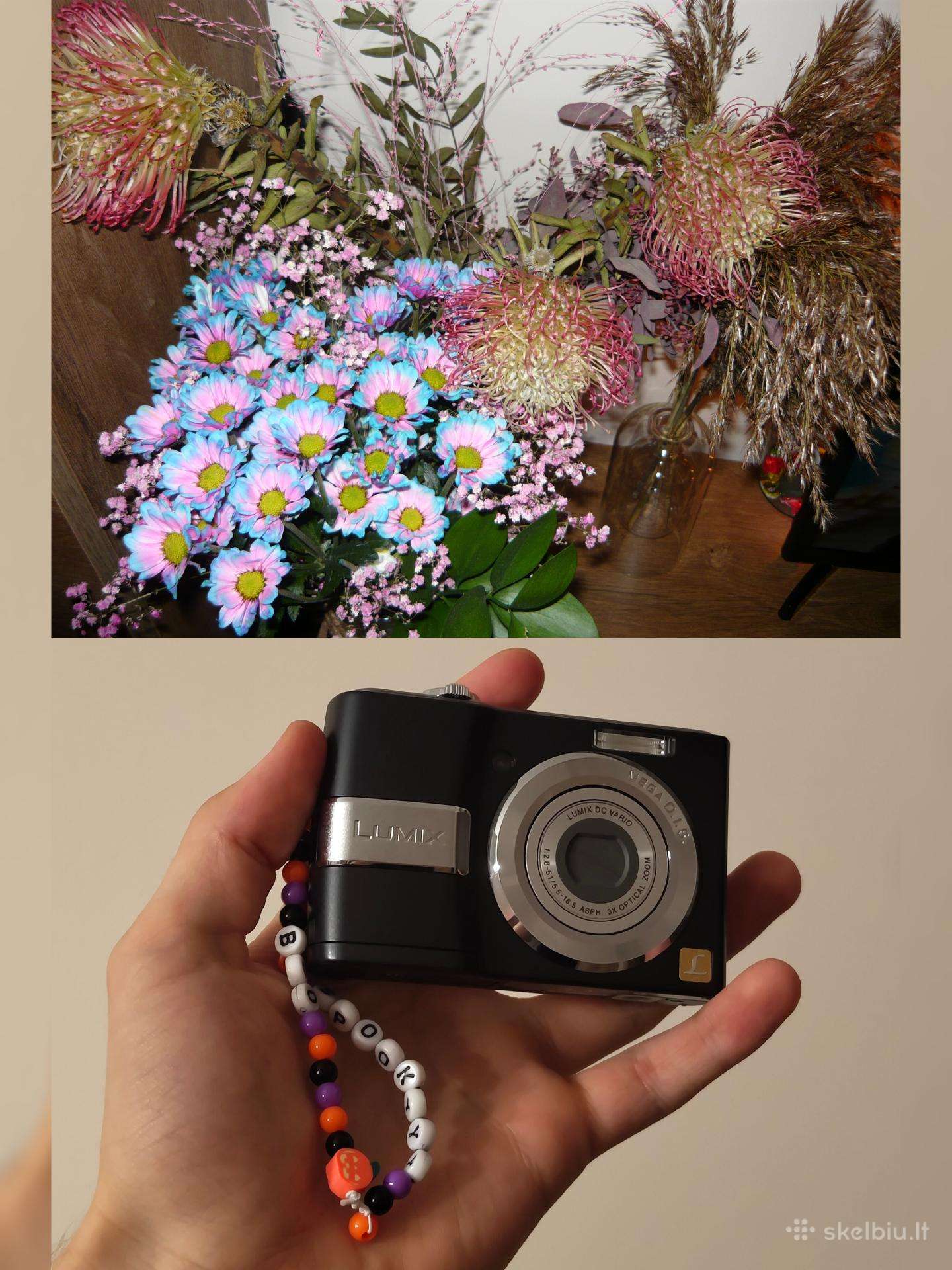 Panasonic Lumix Dsc-ls80 y2k/vintage digicam