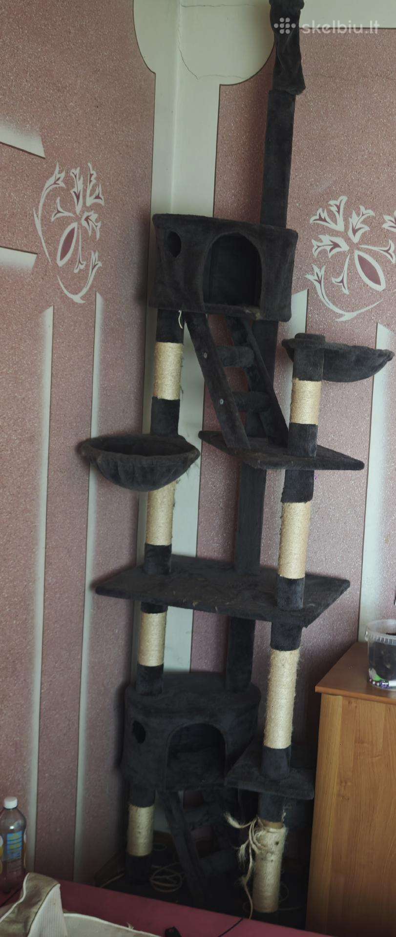 Draskyklė