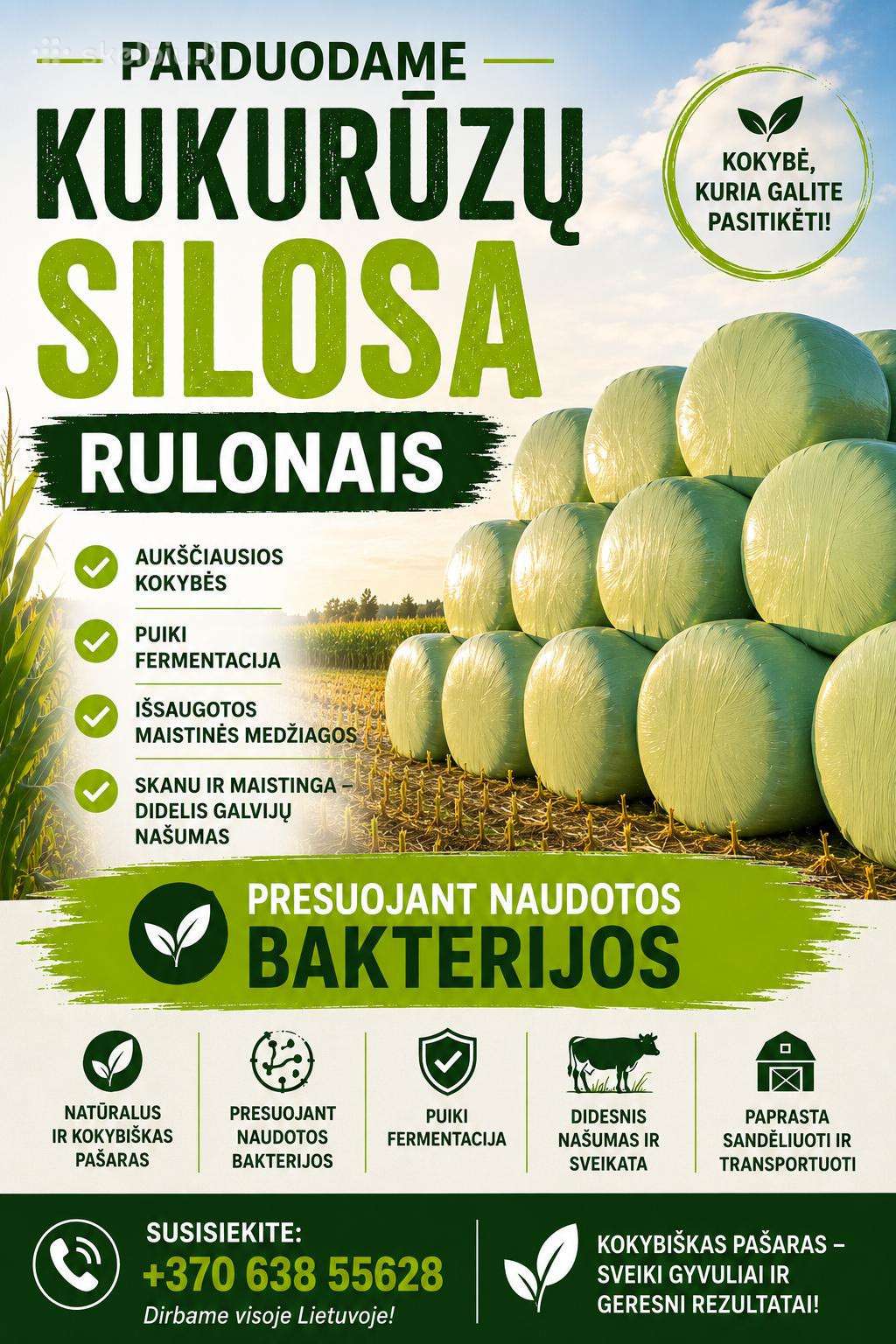 Parduodame kukurūzų Silosa