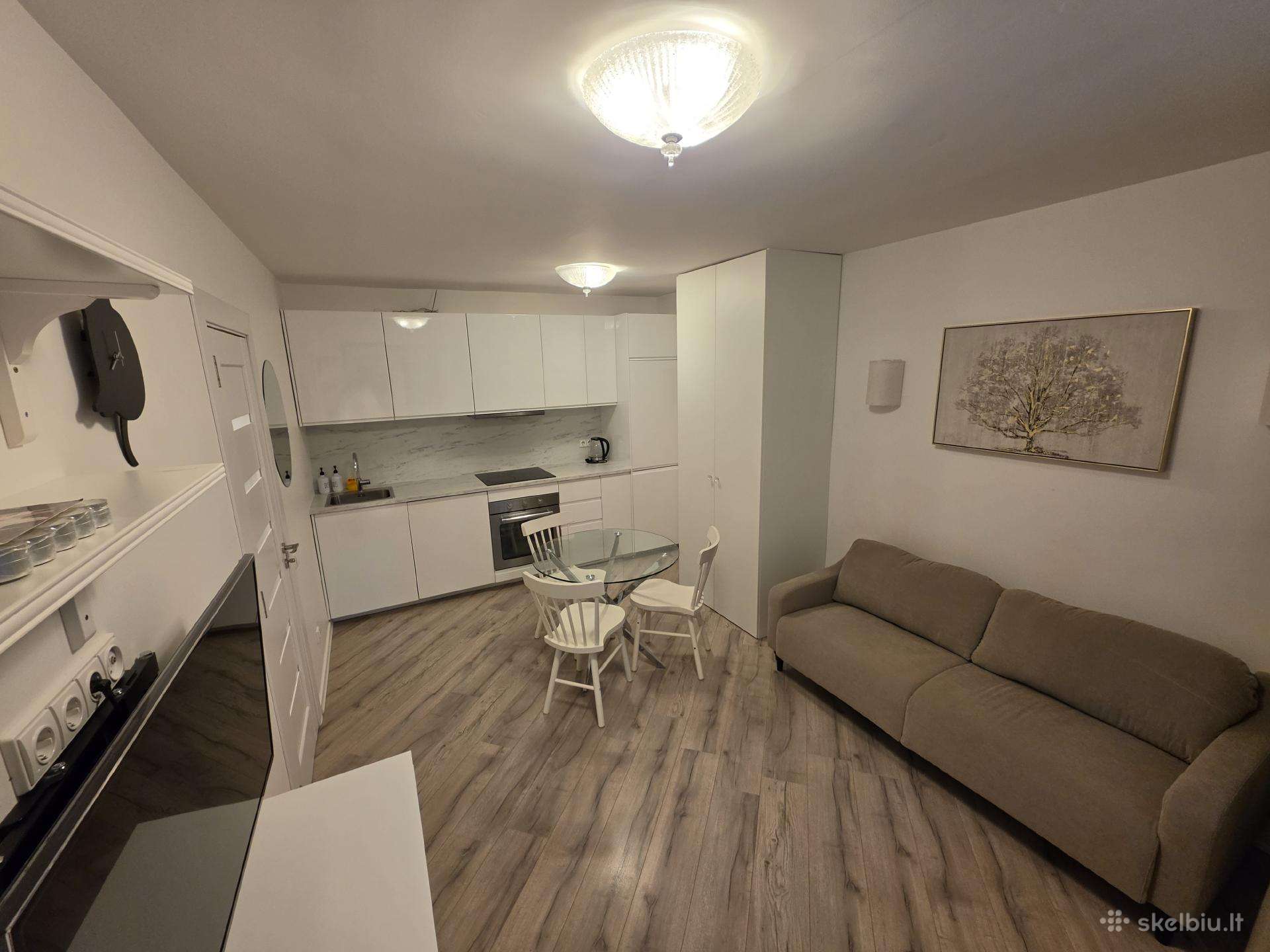 Puikus dviejų kambarių butas miesto centre