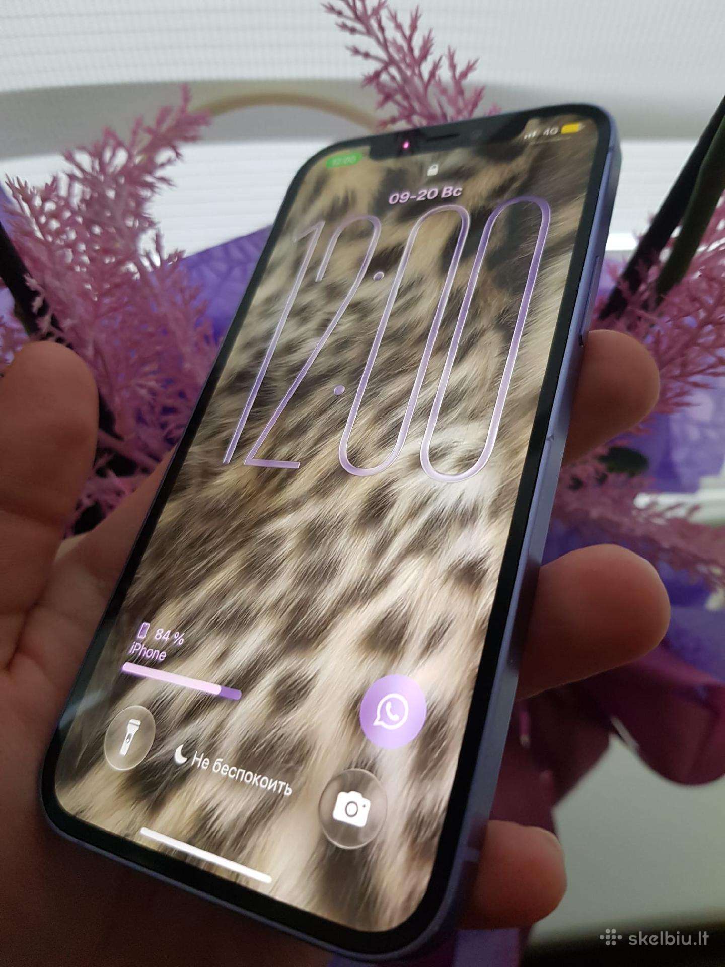 iPhone 12